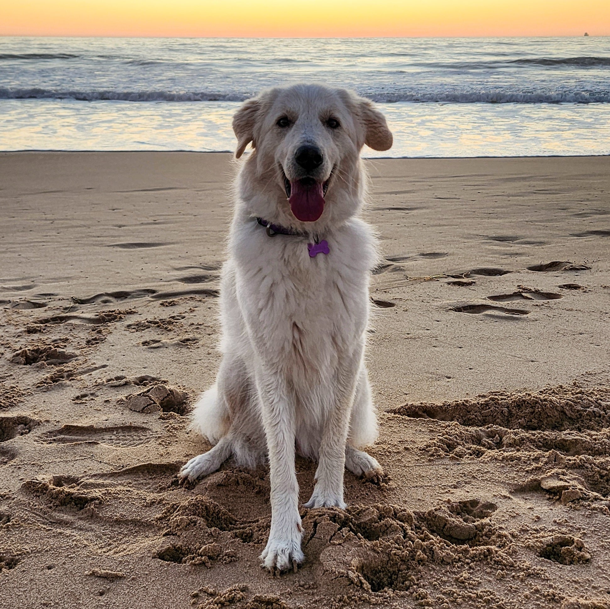 Exploring Bunbury’s Back Beach – Coastal Walks, Wildlife & Ocean Views