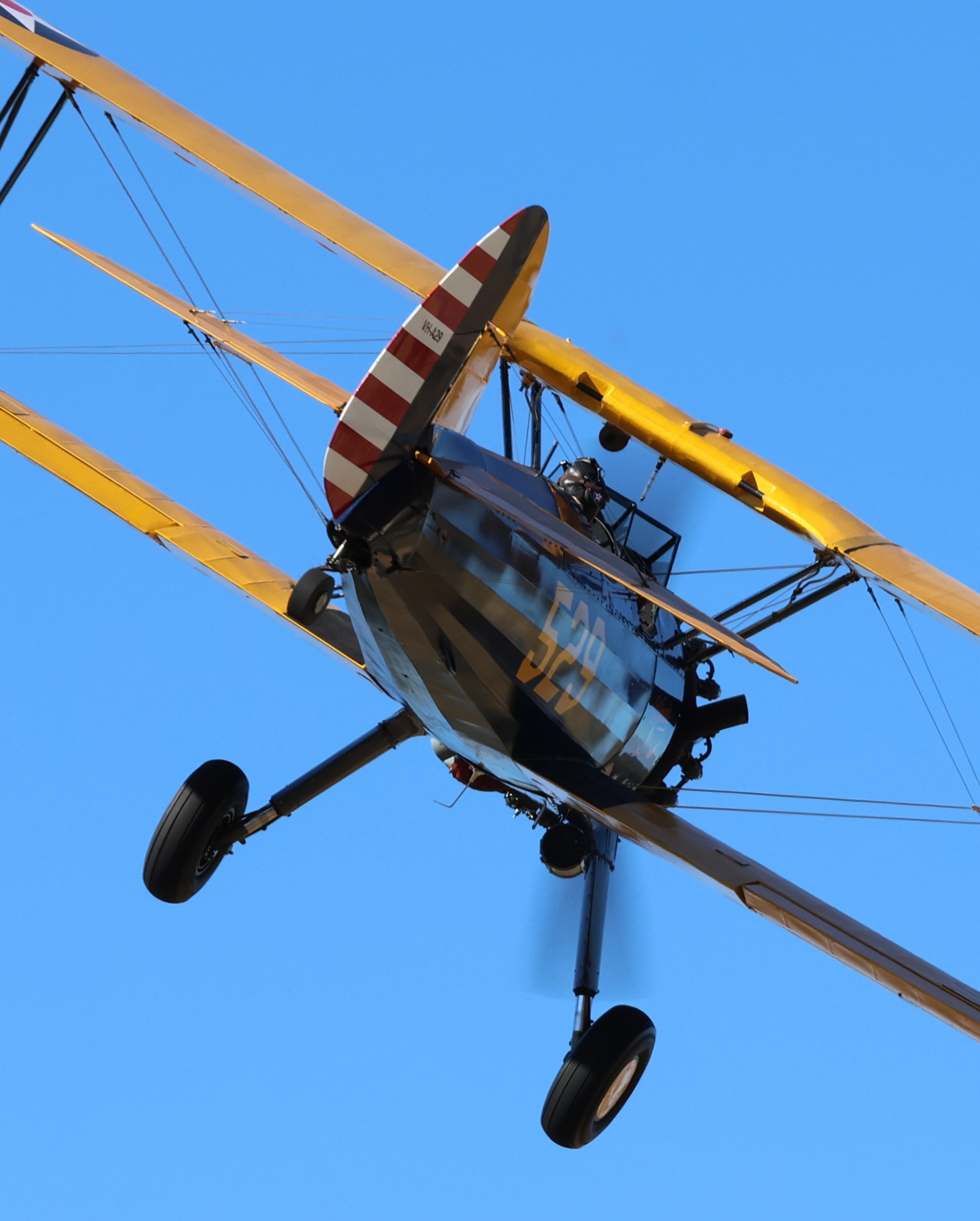 The First Flight – Winnie Takes to the Skies in Bunbury